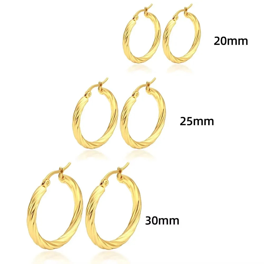 Simple Twist Circle Hoop Earrings for Women