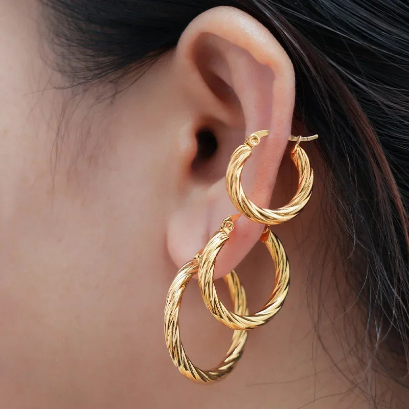 Simple Twist Circle Hoop Earrings for Women