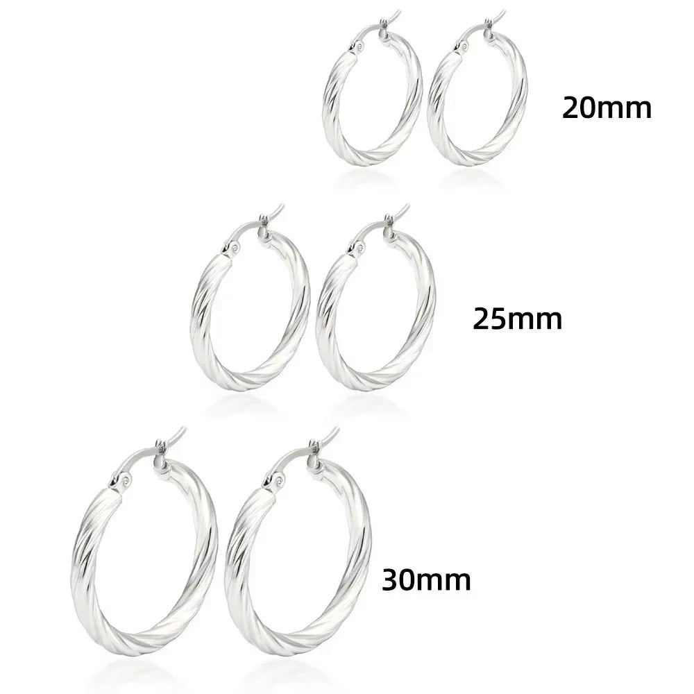 Simple Twist Circle Hoop Earrings for Women